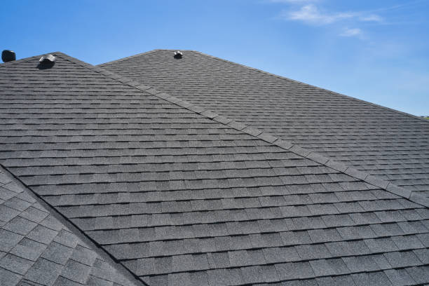 Best Roof Moss and Algae Removal  in View Park Windsor Hills, CA